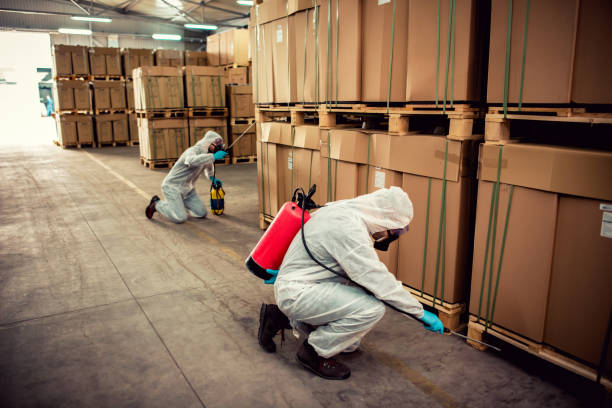Best Exterminator Services  in Lake Royale, NC