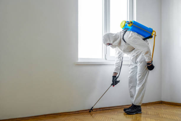 Trusted Lake Royale, NC Pest Control Experts