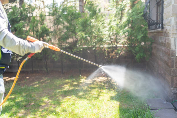 Best Affordable Pest Control Services  in Lake Royale, NC