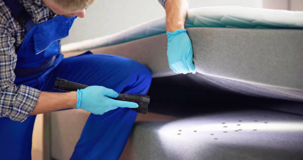 Best Cockroach Control Services  in Lake Royale, NC