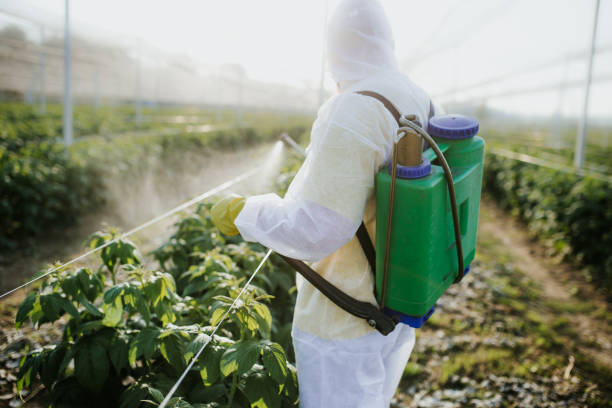 Best Emergency Pest Control  in Lake Royale, NC